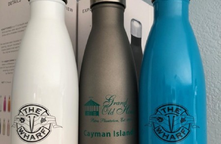 Insolated Water Bottle - MUST HAVE on the island and to help saving the